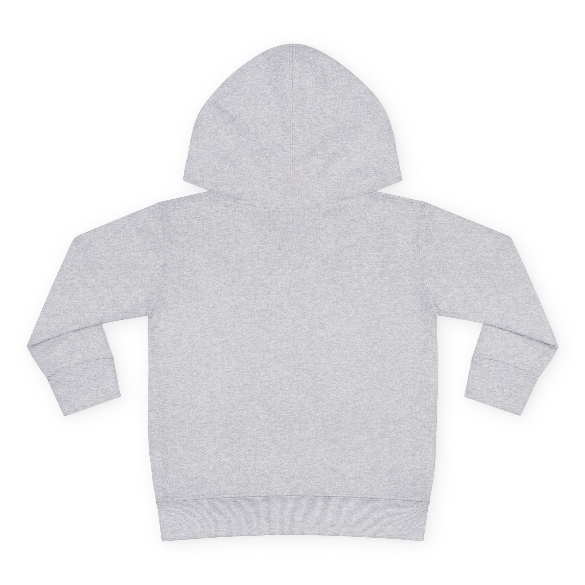 Tiny Tornado Toddler Hoodie