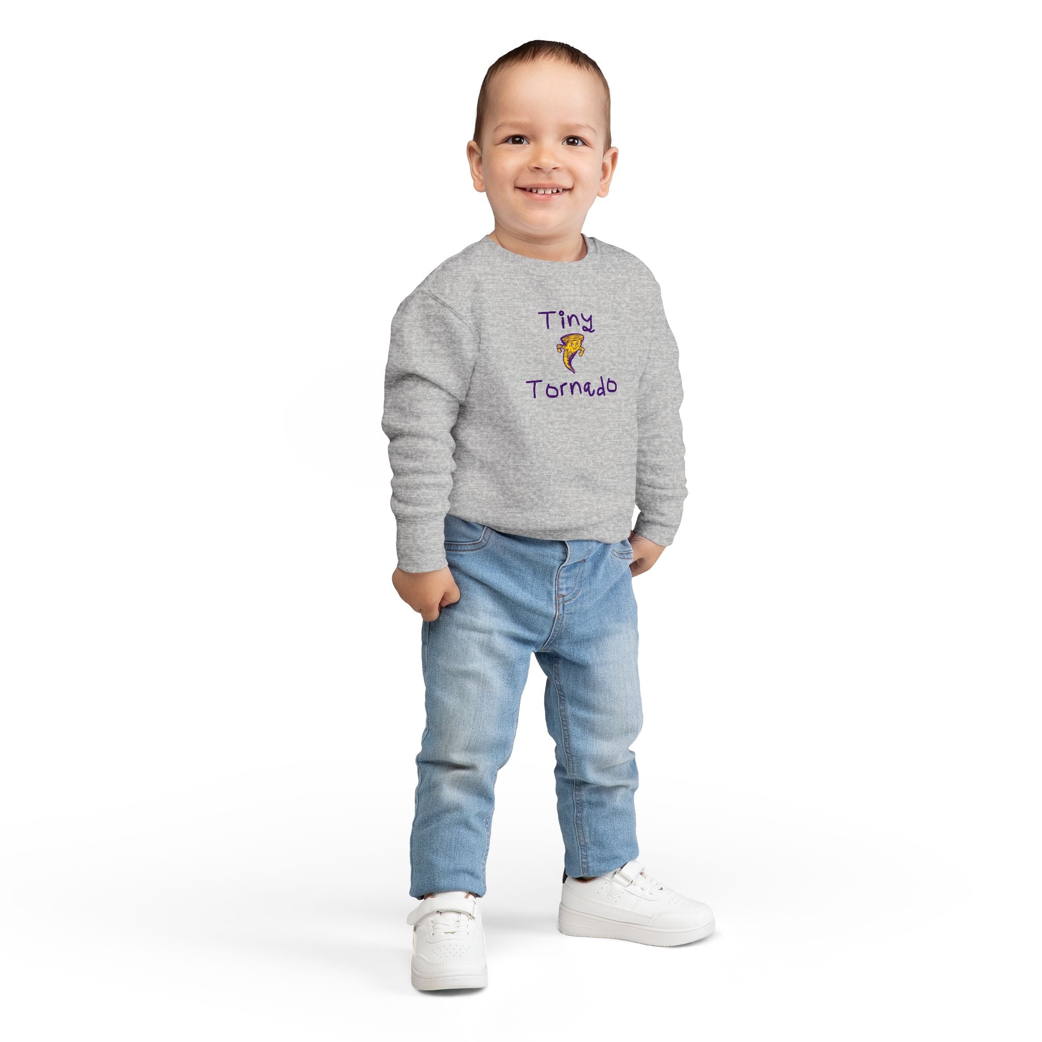 Toddler Sweatshirt - "Tiny Tornado"