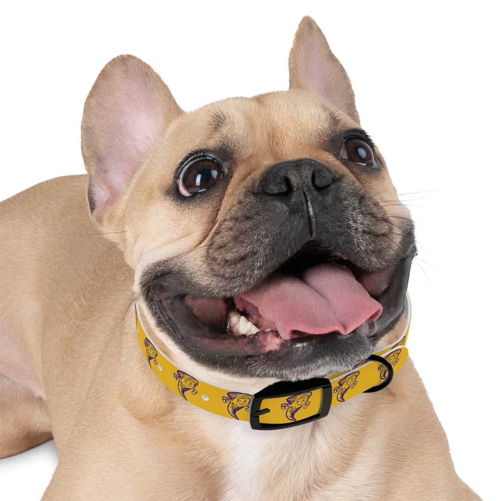 Taylorville Tornadoes Dog Collar