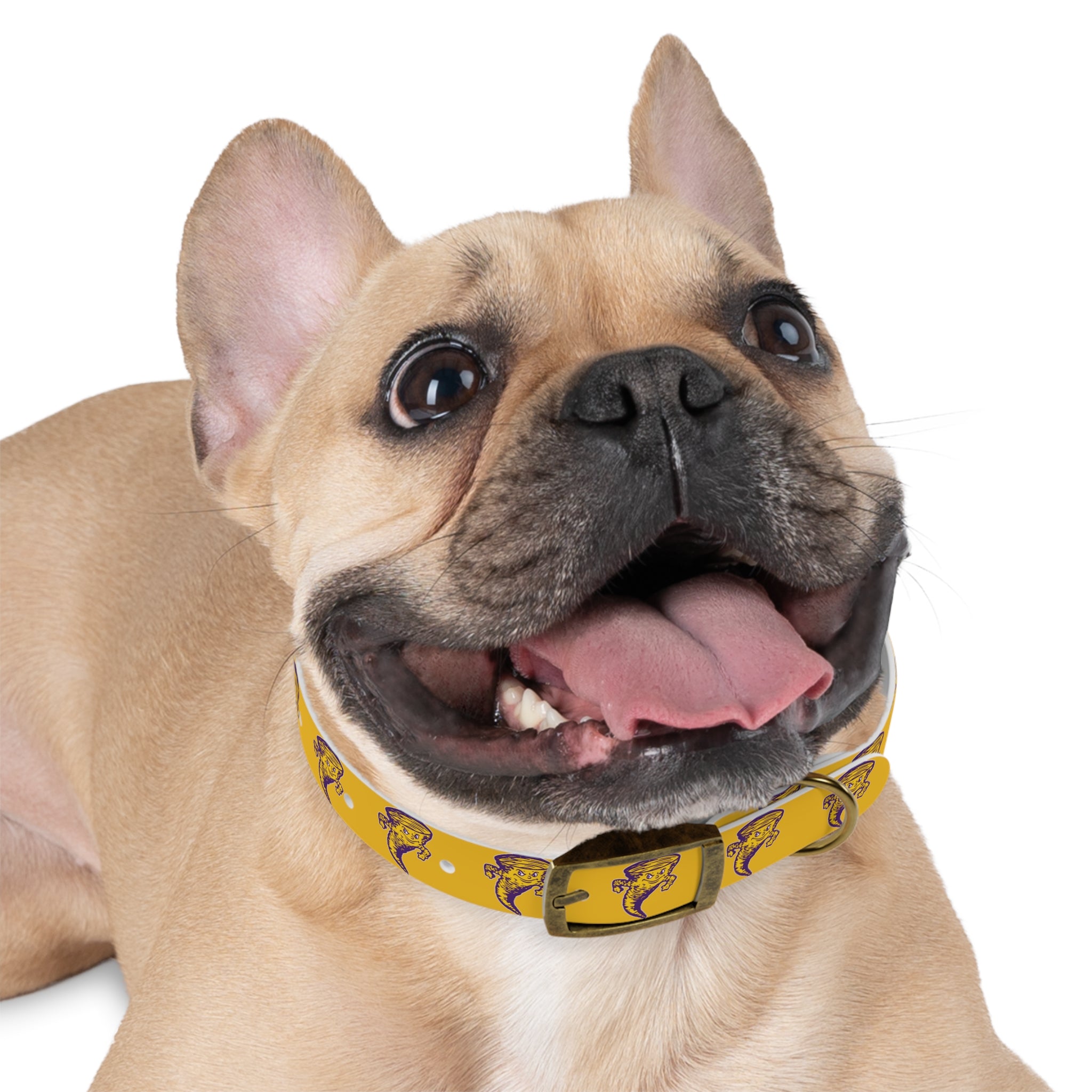 Taylorville Tornadoes Dog Collar
