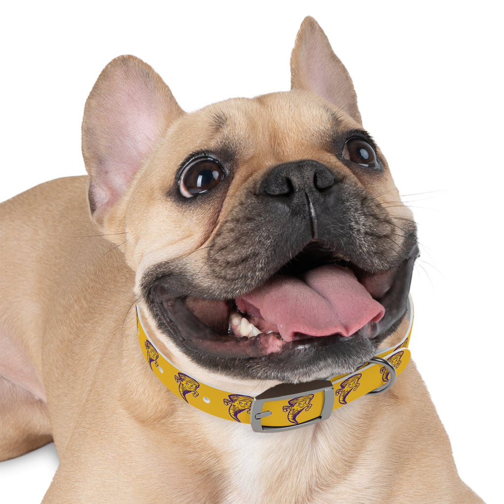 Taylorville Tornadoes Dog Collar