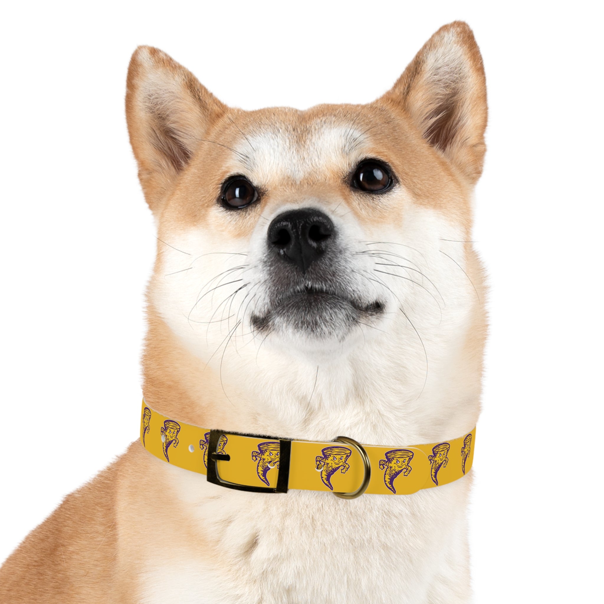 Taylorville Tornadoes Dog Collar